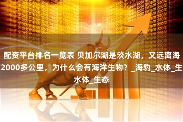 配资平台排名一览表 贝加尔湖是淡水湖，又远离海洋2000多公里，为什么会有海洋生物？_海豹_水体_生态
